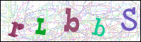 Bestätigung